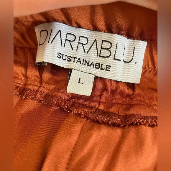 NWOT DIARRABLU Leer Palazzo Pants Large in Rust - Picture 10 of 11